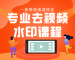 专业去视频水印教程 静态水印、动态水印、文字水印、图片水印一套教程通通搞定-云帆项目库