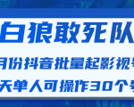 白狼敢死队最新抖音短视频批量起影视号（一天单人可操作30个号）视频课程-云帆项目库