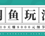 龟课·闲鱼项目玩法实战班第12期，操作10天左右利润有8000元细节玩法-云帆项目库