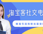 某站内部课程：淘宝客社交电商裂变，精准引流和粉丝裂变模式详解（共6节视频）-云帆项目库
