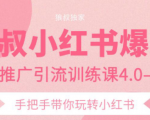 狼叔小红书爆款推广引流训练课4.0,手把手带你玩转小红书-云帆项目库