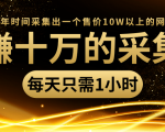 年赚十万的采集站，每天却只需要1小时，一年时间采集出一个售价10W以上的网站-云帆项目库