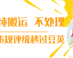 抖音纯搬运 不处理 小技巧,30秒发一个作品,避免违规评级秒过豆荚-云帆项目库