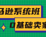 亚马逊系统班，专为0基础卖家量身打造，亚马逊运营流程与架构-云帆项目库
