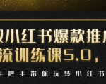 小红书爆款推广引流训练课5.0，手把手带你玩转小红书（17节实操视频+话术）-云帆项目库