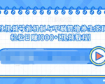 视频号新机制与不刷赞撸养生茶玩法，轻松日赚1000+-云帆项目库