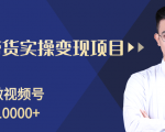 柚子分享课：微信视频号变现攻略，新手零基础轻松日赚千元-云帆项目库