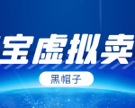 黑帽子淘宝虚拟卖货项目，单店每月收入5000+-云帆项目库