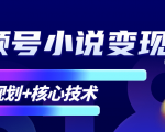 柚子微信视频号小说变现项目，全新玩法零基础也能月入10000+【核心技术】-云帆项目库