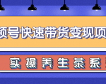 柚子视频号带货实操变现项目，零基础操作养身茶月入10000+-云帆项目库