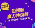 零基础小白进阶到大神《短视频魔力特训营》定位-运营-引流-变现-云帆项目库
