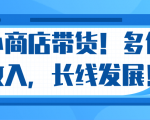 微信小商店带货，爆单多倍收入，长期复利循环！日赚300-800元不等-云帆项目库