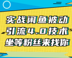 实战闲鱼被动引流4.0技术，坐等粉丝来找你，实操演示日加200+精准粉-云帆项目库