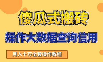 搬砖操作大数据查询信用项目赚钱教程，祝你快速月入6万-云帆项目库