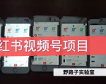 野路子小红书视频号1.0项目，直接上手操作就能赚钱的视频号项目-云帆项目库
