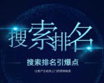 搜索排名引爆点：教你快速掌握各个搜索引擎排名算法，让客户主动找上你的秘笈-云帆项目库