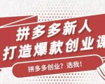 拼多多新人打造爆款创业课:快速引流持续出单,适用于所有新人-云帆项目库