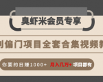 暴利偏门项目全套合集视频教程:你要的日赚1000+月入几万+项目都有-云帆项目库