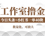 工作室撸金二件套：撸今日头条原创收益+小红书一单利润40块项目-云帆项目库