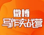村西边老王·微博超级写作实战营，帮助你粉丝猛涨价值999元-云帆项目库