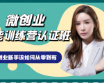 微创业全能训练营认证班课程,从理论知识与实际案例手把手指导创业新手如何从零到有-云帆项目库