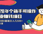 20多个新手可操作的副业赚钱项目：业余时间0基础日入几500+实操分享-云帆项目库
