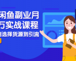 2021闲鱼副业月入过万实战课程:从开店到选择货源到引流,全程实战教学-云帆项目库