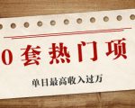 30套热门项目:单日最高收入过万 (网赚项目、朋友圈、涨粉套路、抖音、快手)等-云帆项目库