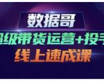 数据哥·超级带货运营+投手线上速成课，快速提升运营和熟悉学会投手技巧-云帆项目库