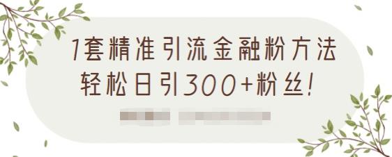 1套精准引流金融粉方法，轻松日引300+粉丝-云帆项目库