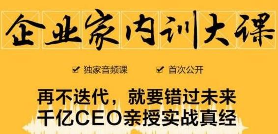 企业家内训大课，未来企业必学经验，价值1299元-云帆项目库