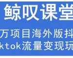 鲸叹号·海外TIKTOK训练营,百万项目海外版抖音tiktok流量变现玩法-云帆项目库