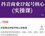 抖音商业IP起号核心实操课,带你玩转算法,流量,内容,架构,变现-云帆项目库