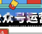零零已久·从0-1运营公众号，零基础小白也能上手，系统性了解公众号运营-云帆项目库