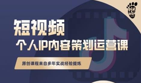 抖音短视频个人ip内容策划实操课，真正做到普通人也能实行落地-云帆项目库