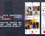 麦子互娱短视频带货·0基础做好物分享账号，无需出镜无需货源无需拍摄-云帆项目库