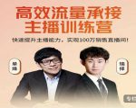 高效流量承接主播训练营：快速提升主播能力,实现100万销售直播间-云帆项目库