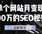 单个网站月变现100万的SEO秘密，百分百做出赚钱站点-云帆项目库
