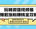 玩转微信视频号爆款涨粉赚钱全攻略,快速涨粉百万变现万元秘诀-云帆项目库