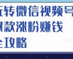 玩转微信视频号爆款涨粉赚钱全攻略，让你快速抓住流量风口，收获红利财富-云帆项目库