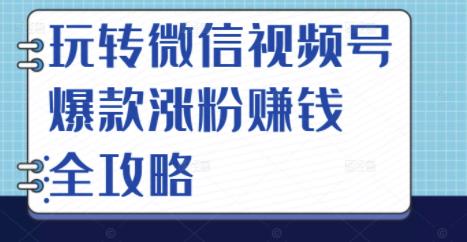 玩转微信视频号爆款涨粉赚钱全攻略，让你快速抓住流量风口，收获红利财富-云帆项目库