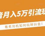 老古董·抖音月入5万引流玩法，看看老司机如何玩转抖音(附赠：抖音另类引流思路)-云帆项目库