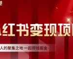 渣圈学苑·小红书虚拟资源变现项目,一起捞钱掘金价值1099元-云帆项目库