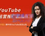 外国人眼中的YouTube该怎么玩?Elisa·YouTube运营推广实战技巧-云帆项目库