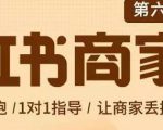 贾真-小红书商家营第6期商家版，21天带货陪跑课，让商家丢掉付流量-云帆项目库
