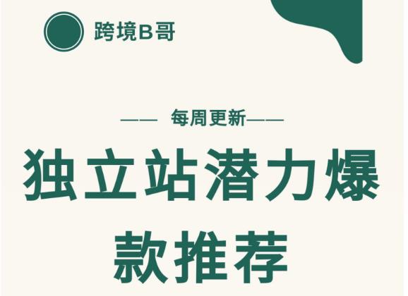 【跨境B哥】独立站潜力爆款选品推荐，测款出单率高达百分之80-云帆项目库
