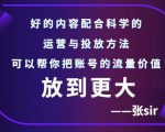 张sir账号流量增长课，告别海王流量，让你的流量更精准-云帆项目库