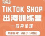 疯人院:TikTok Shop出海训练营（一店卖全球)，出海抢占全球新流量-云帆项目库