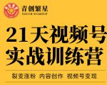 张萌21天视频号实战训练营，裂变涨粉、内容创作、视频号变现 价值298元-云帆项目库