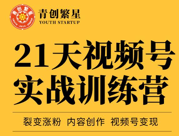 张萌21天视频号实战训练营，裂变涨粉、内容创作、视频号变现 价值298元-云帆项目库